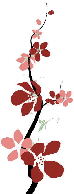 web and graphic design
